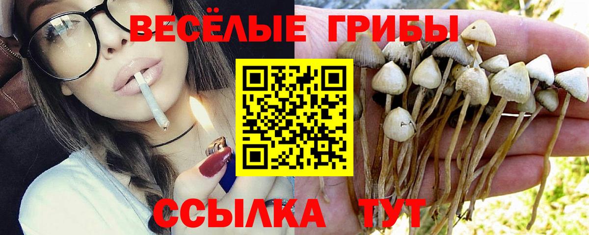 Галлюциногенные грибы GOLDEN TEACHER Кострома